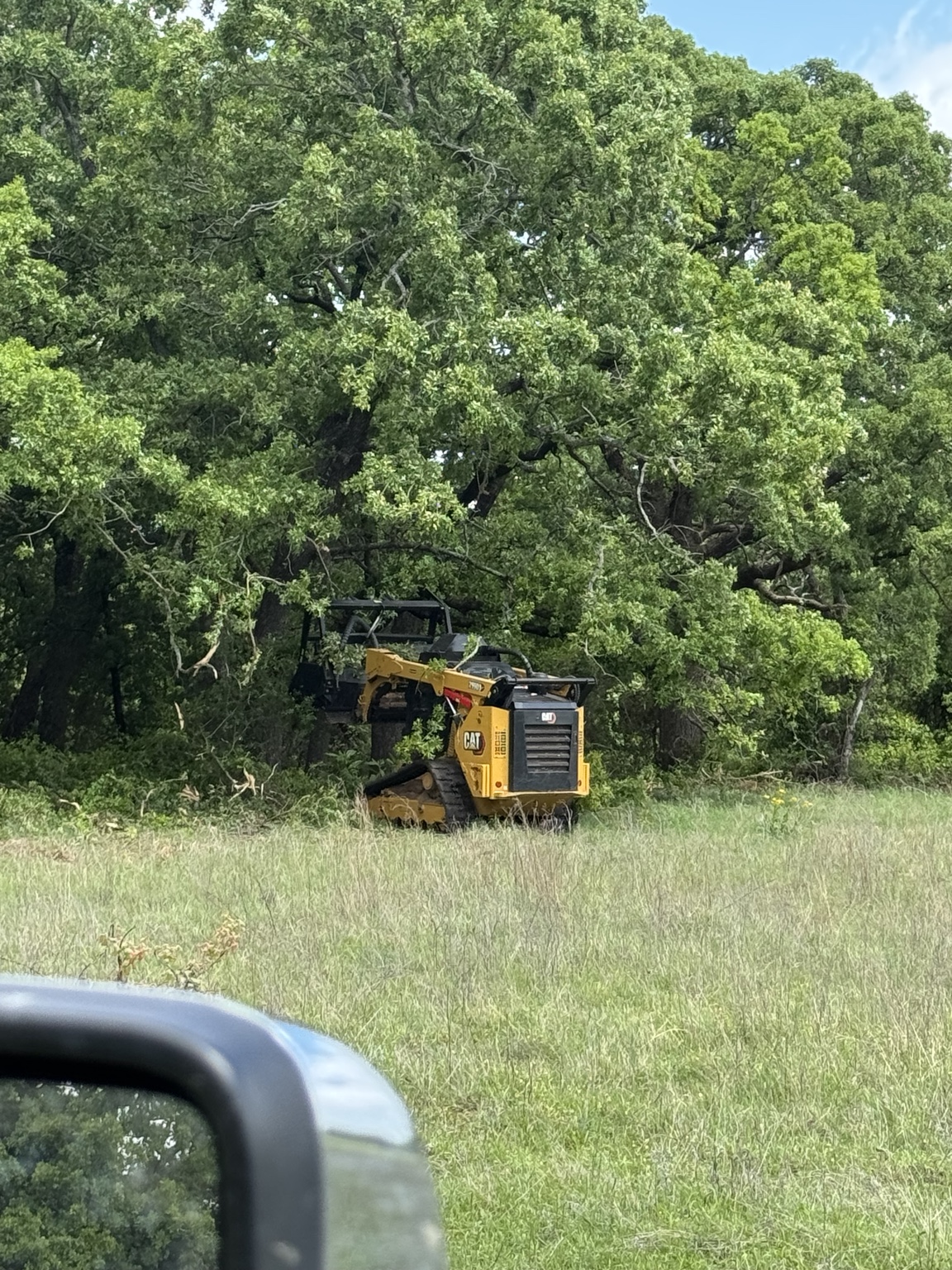 CAT machine working along a wooded pasture edge
