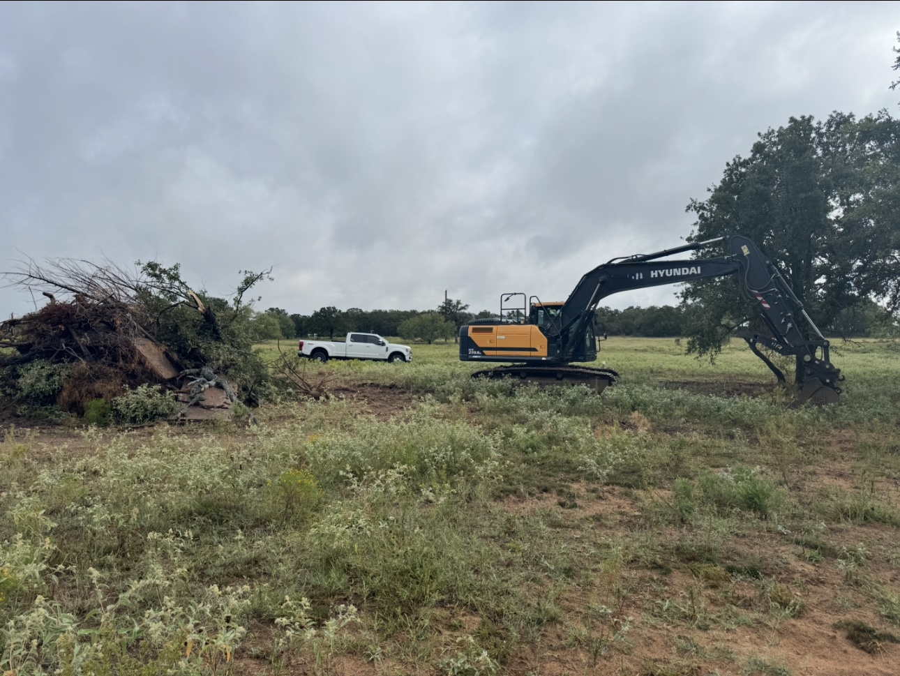 Excavator beside brush and uprooted vegetation in a pasture