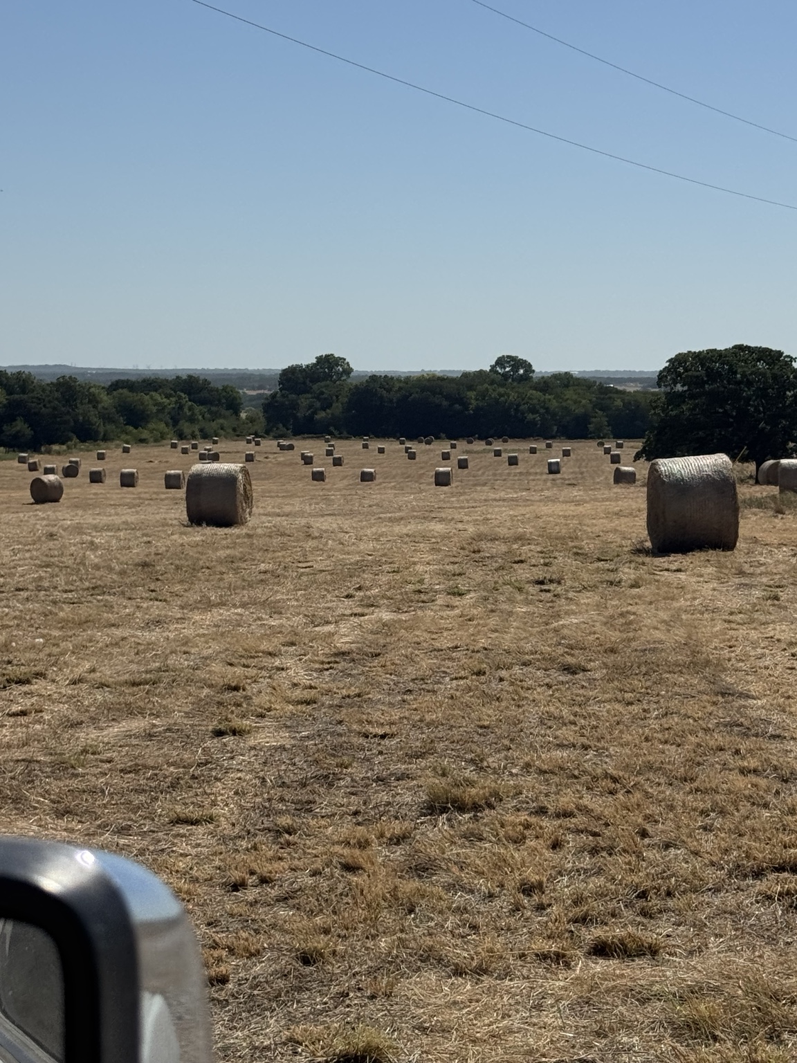 Round bales spread across a harvested hay field