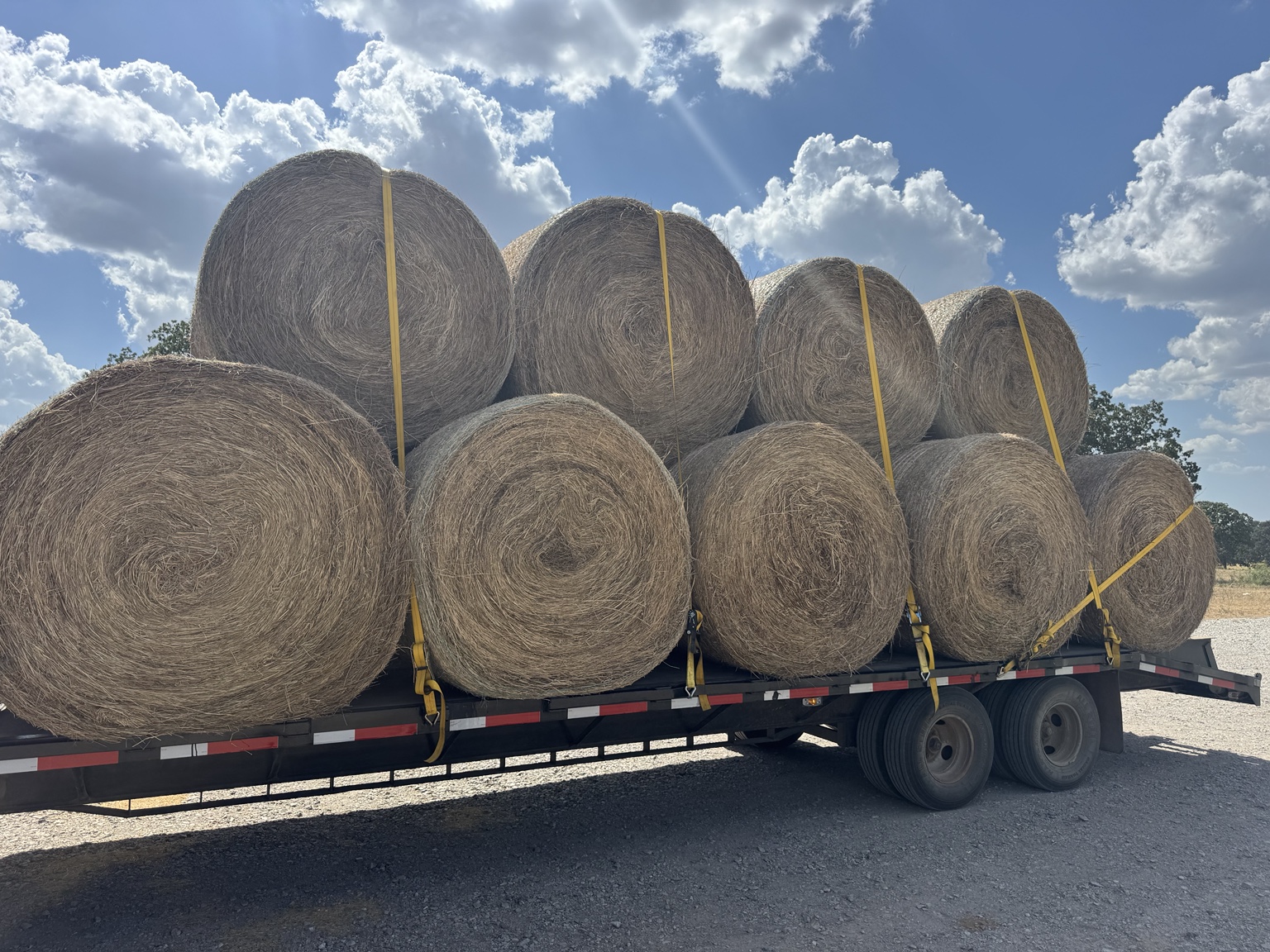 Round hay bales secured on a flatbed trailer