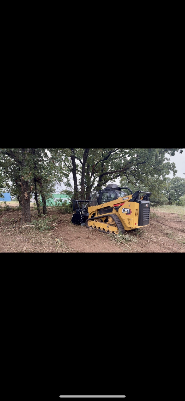 CAT mulcher clearing brush beneath mature oak trees